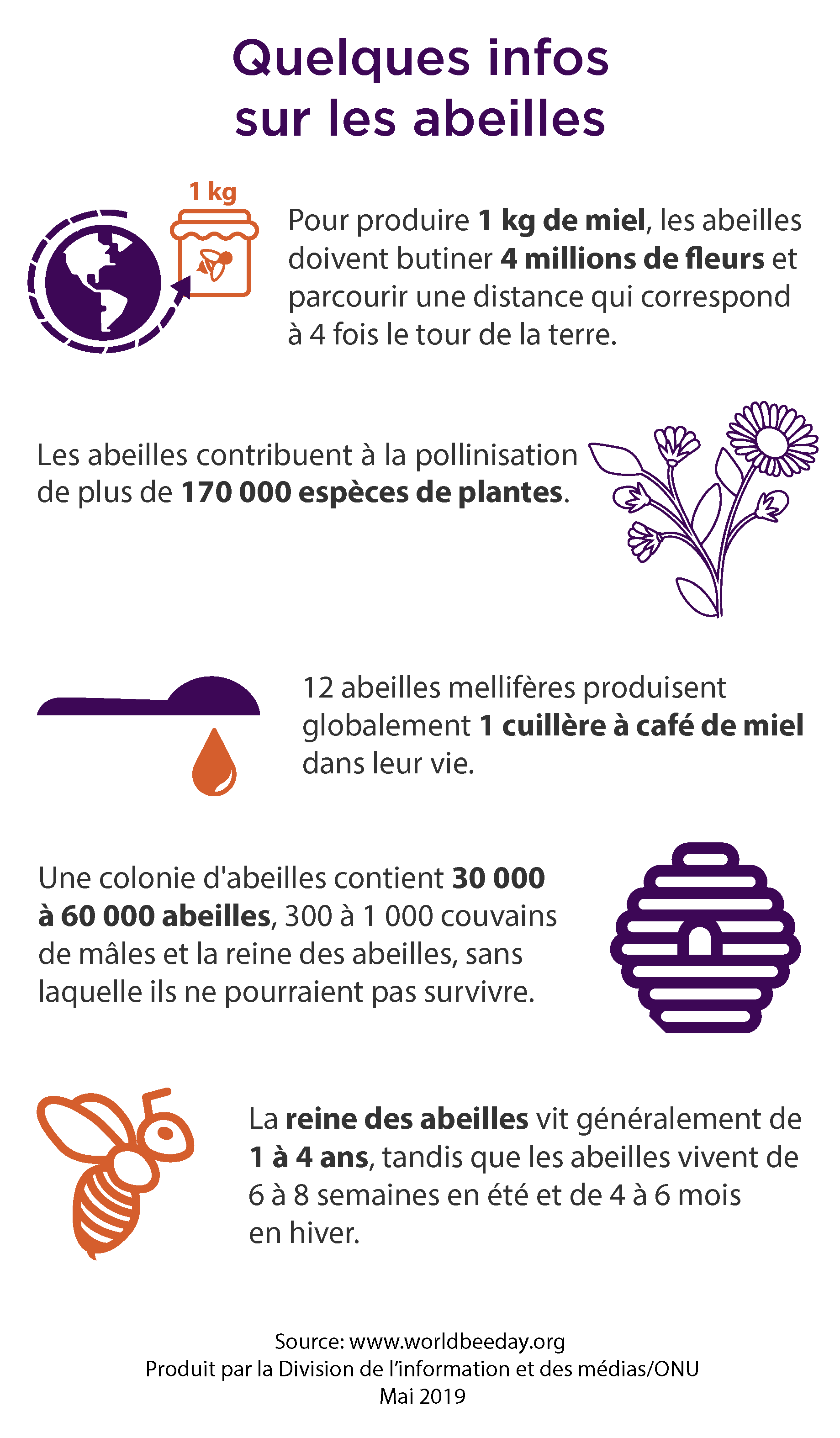 220519-abeille-infographie.png