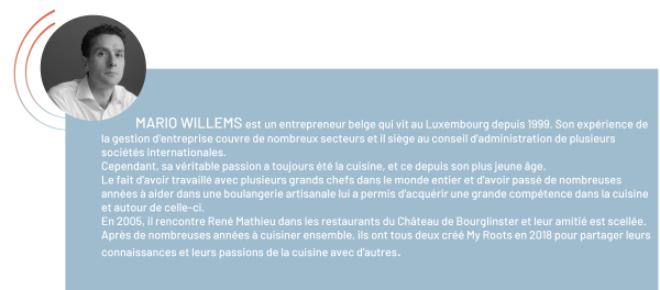 Mario_Willems_Bio_FR