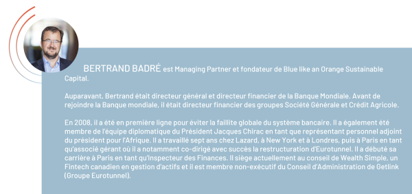 Bertrand_Badré_BIO_FR